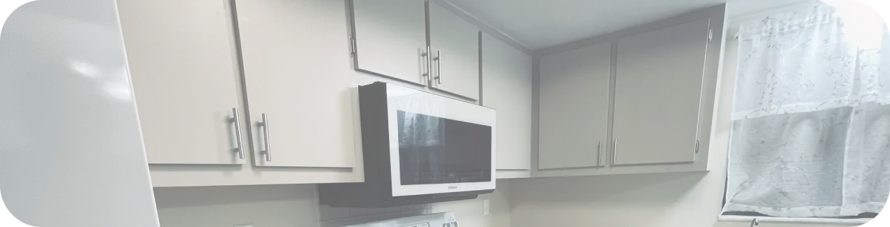 Kitchen Cabinet Painting